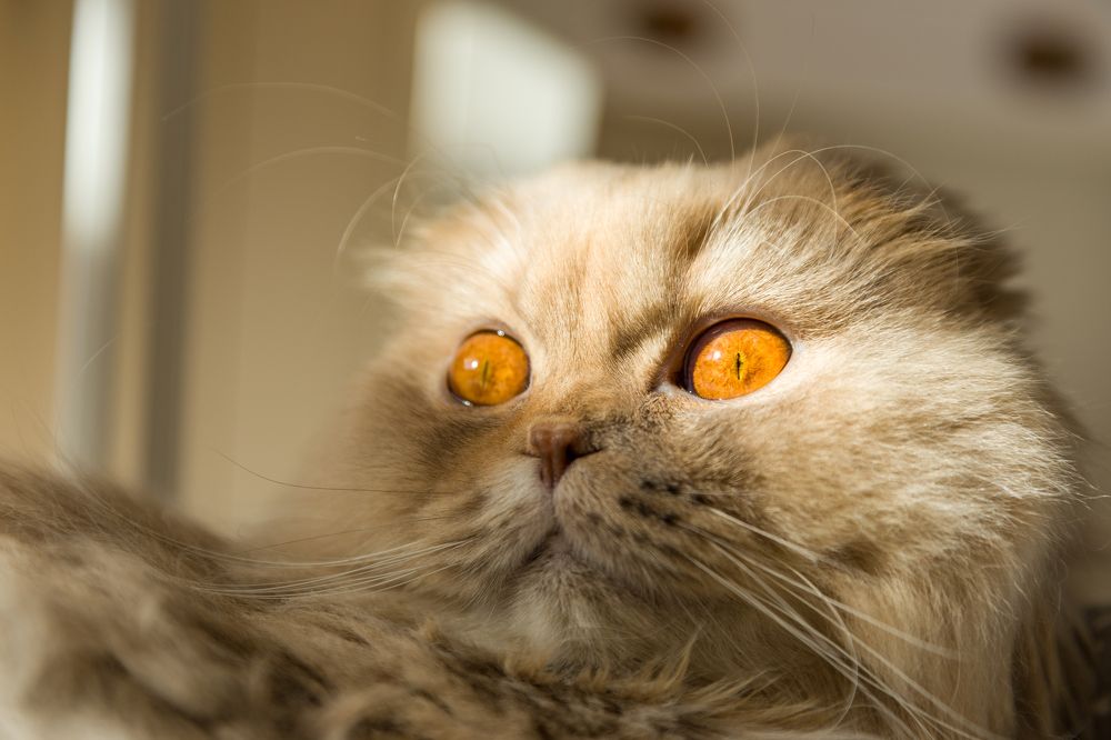 Photograph by Васильев Александр