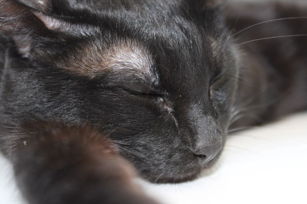 Photograph by Руслан Шиляев