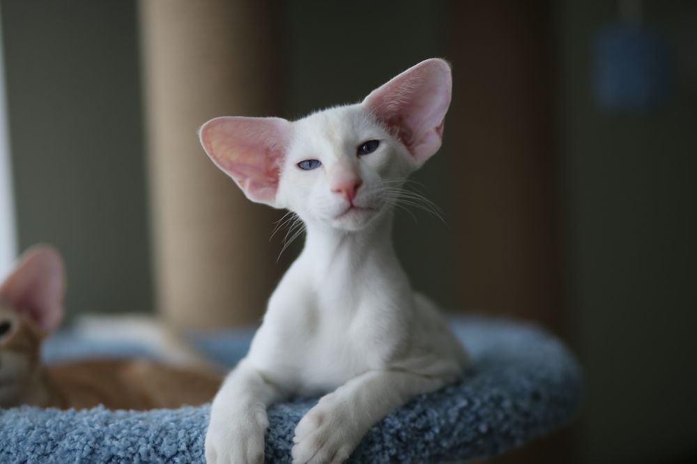 Photograph by Виктория Акимова