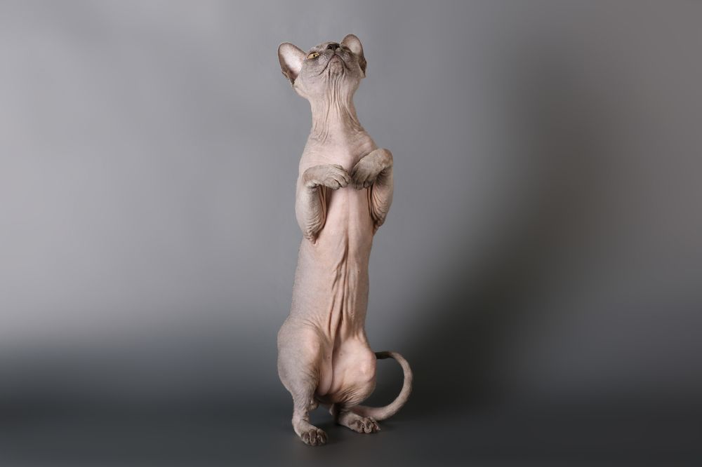 Photograph by Виктория Акимова