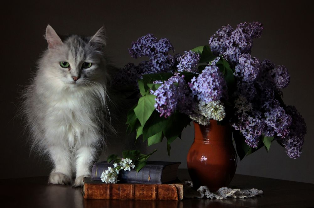 Photograph by Зоя Быкова