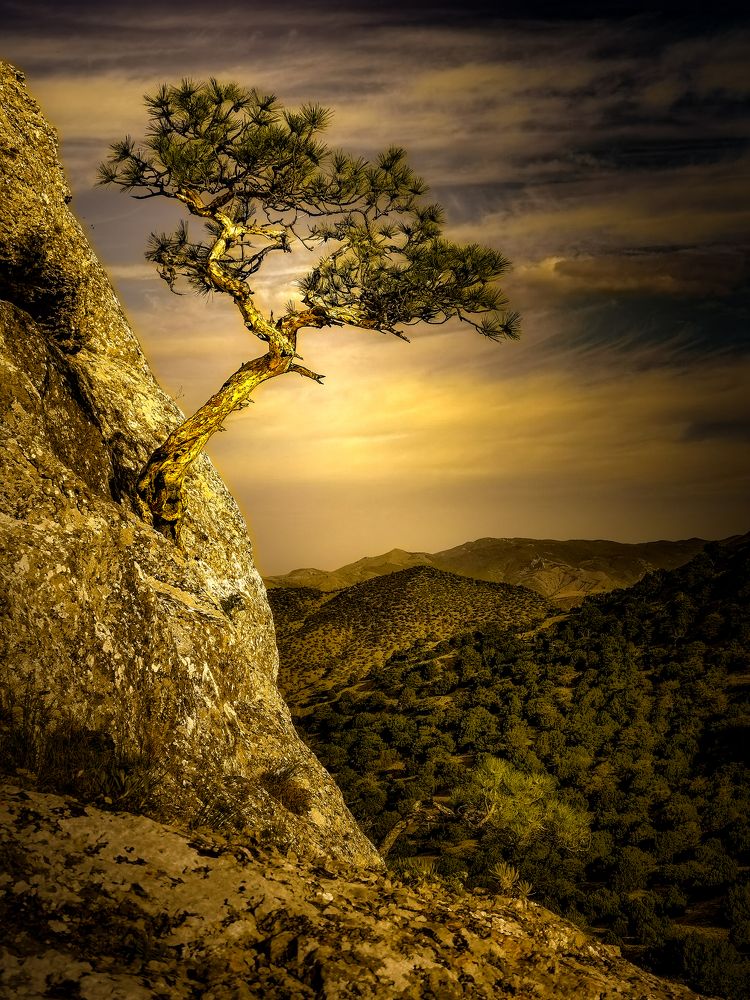 Photograph by Александр Разумов