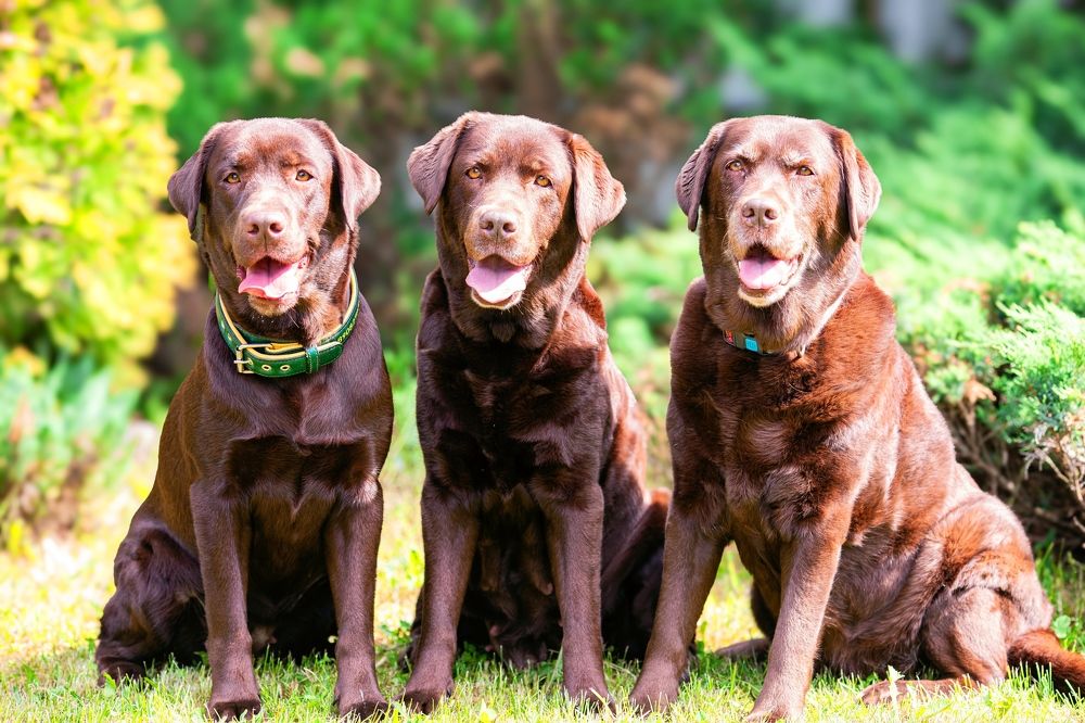 Photograph by Дарья