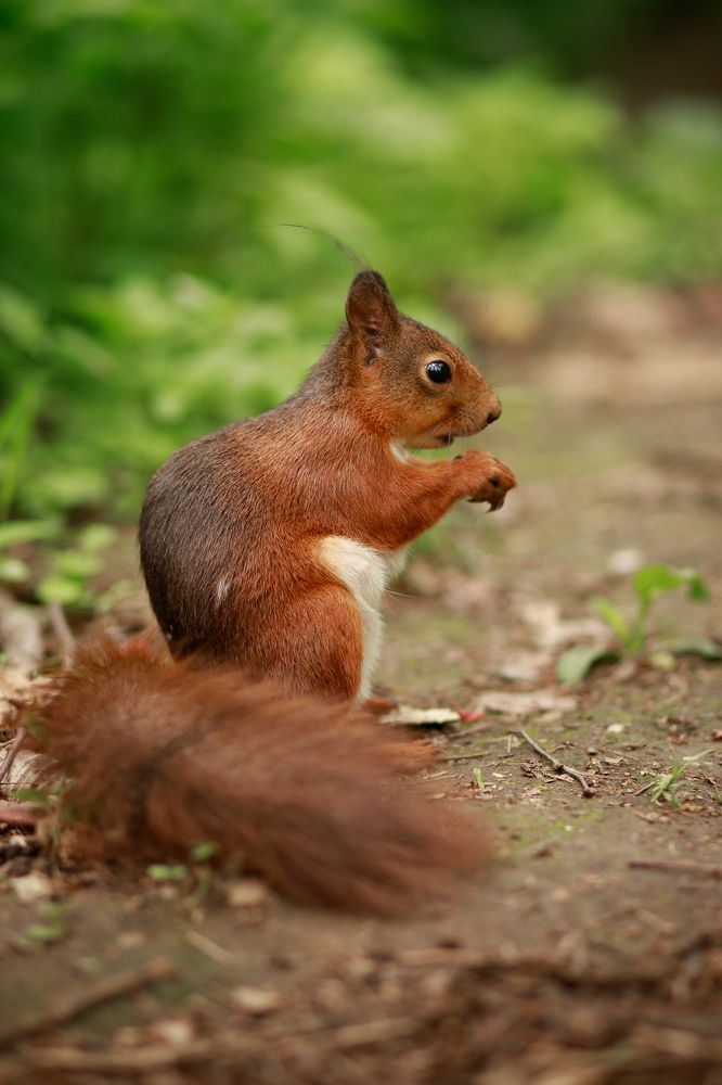 Фотография автора Александра Асаулко