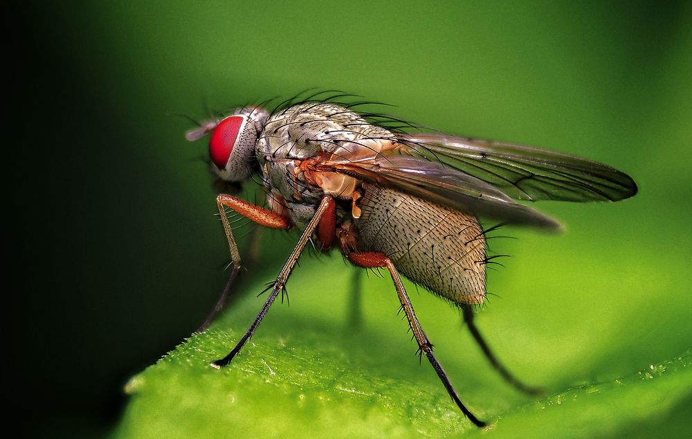 Photograph by Савчук Анатолий