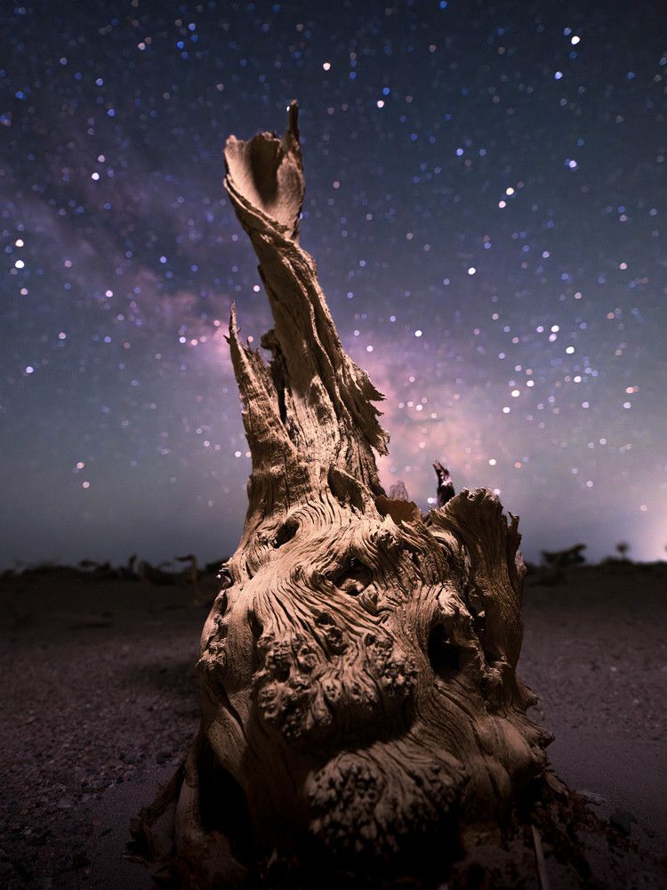 Photograph by Zhang Yujie