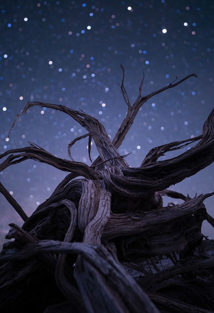 Photograph by Zhang Yujie