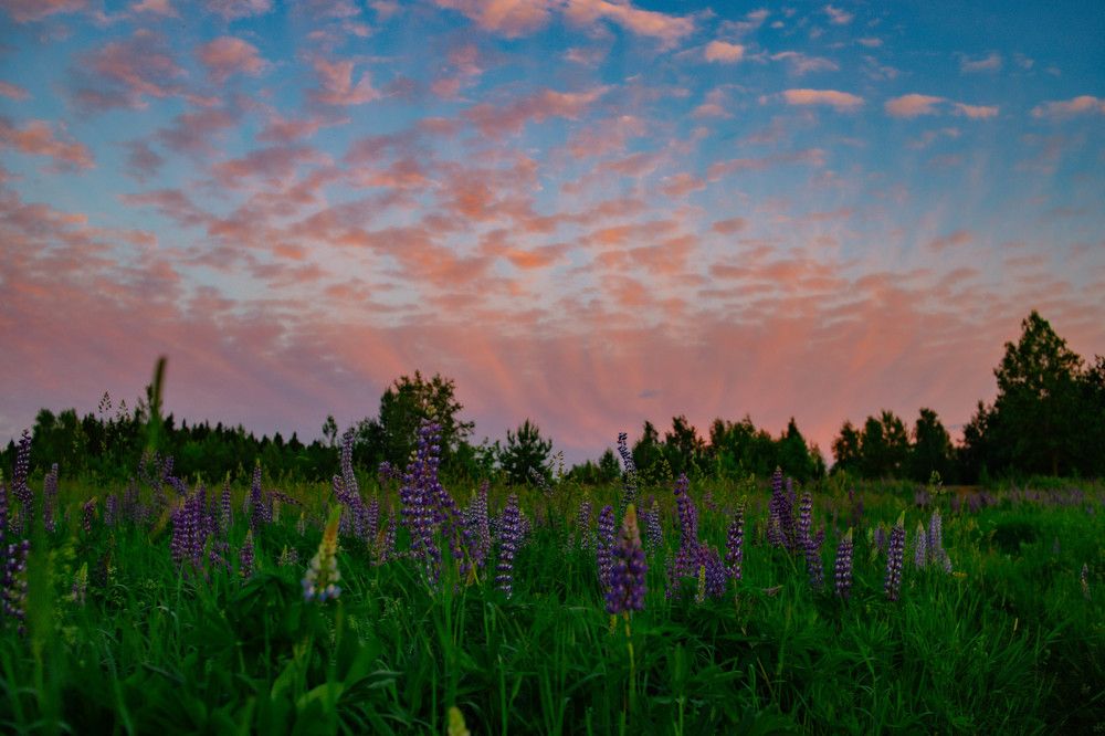 Photograph by Дарья Овчинникова