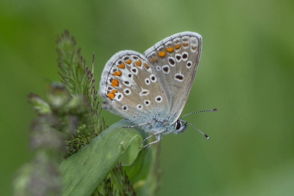 Photograph by Сергей Алексеев