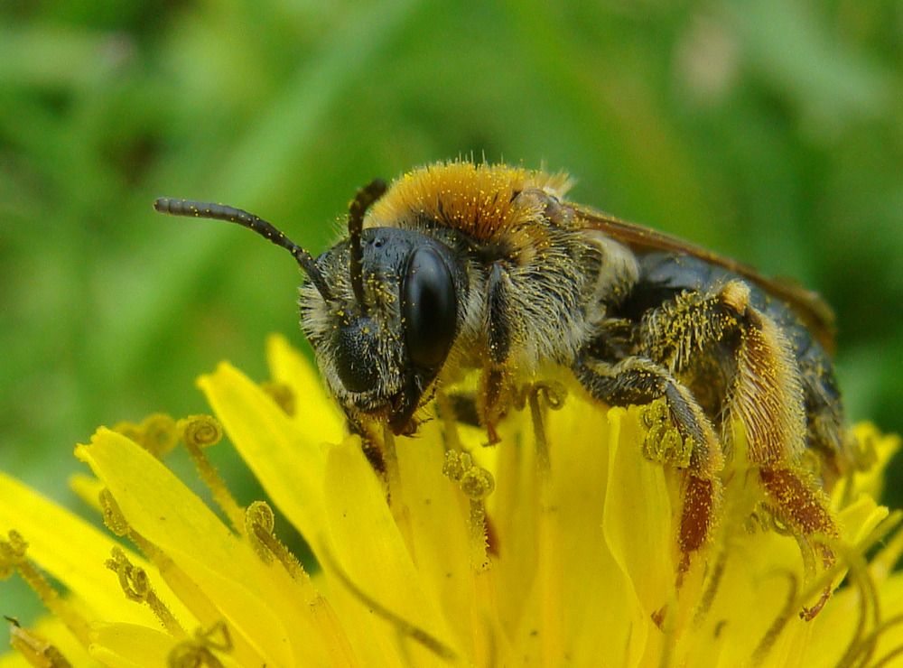 Фотография автора Павел Попов