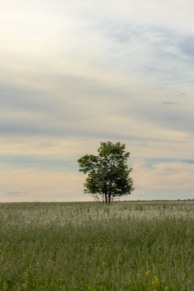 Photograph by Ольга Петрова