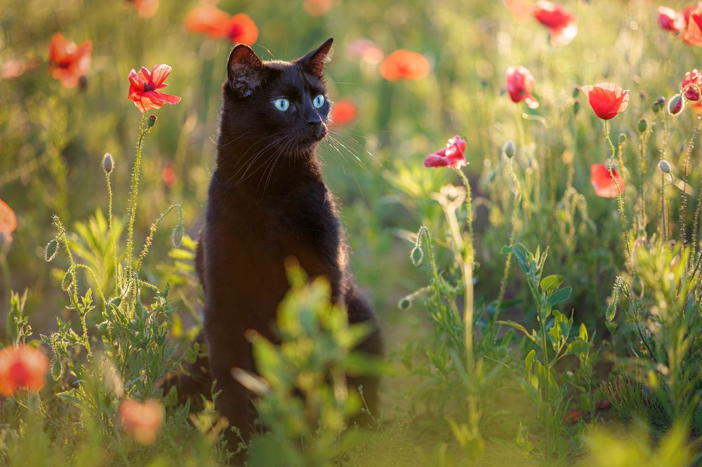 Photograph by Яна Нарбутович