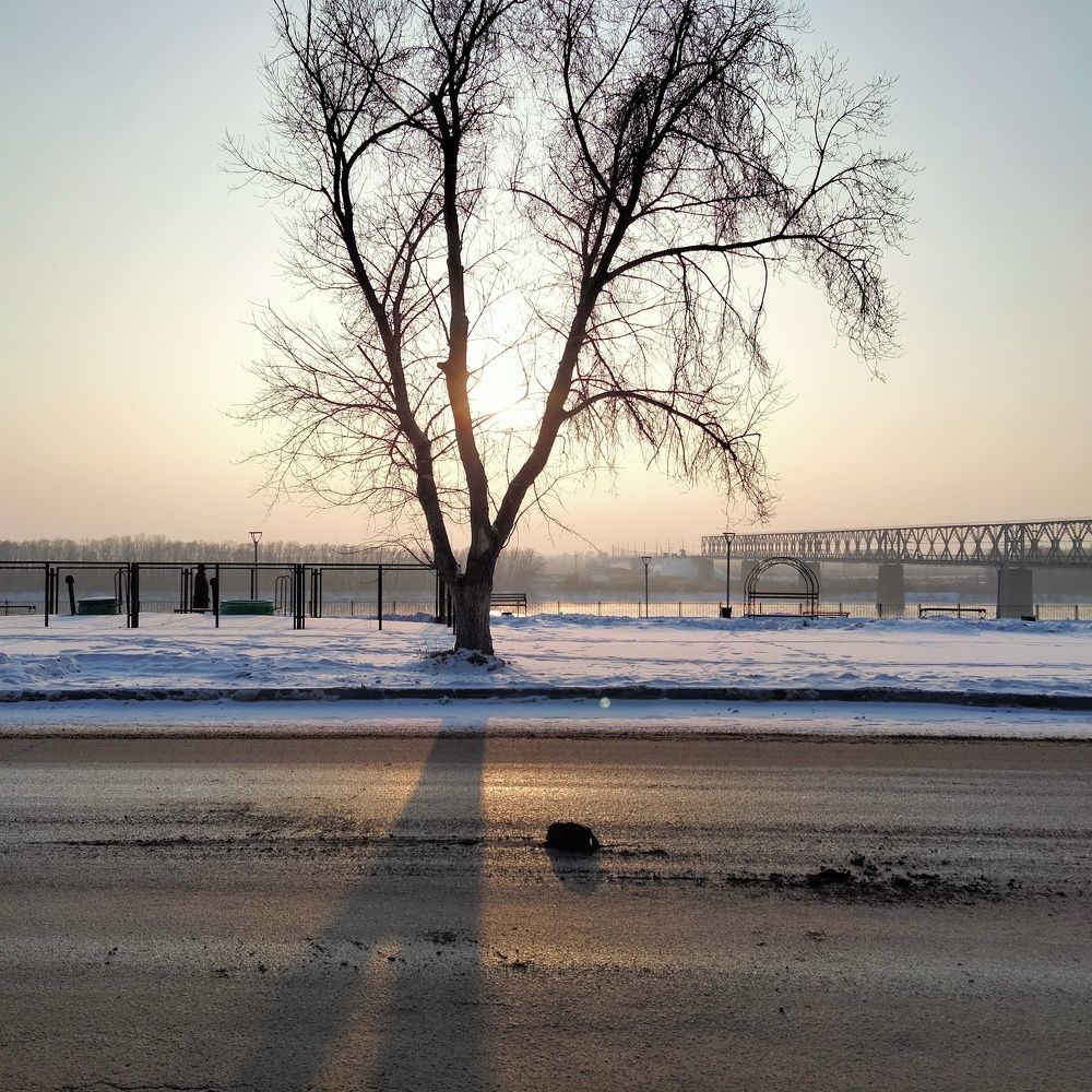 Фотография автора Динара Каймиденова