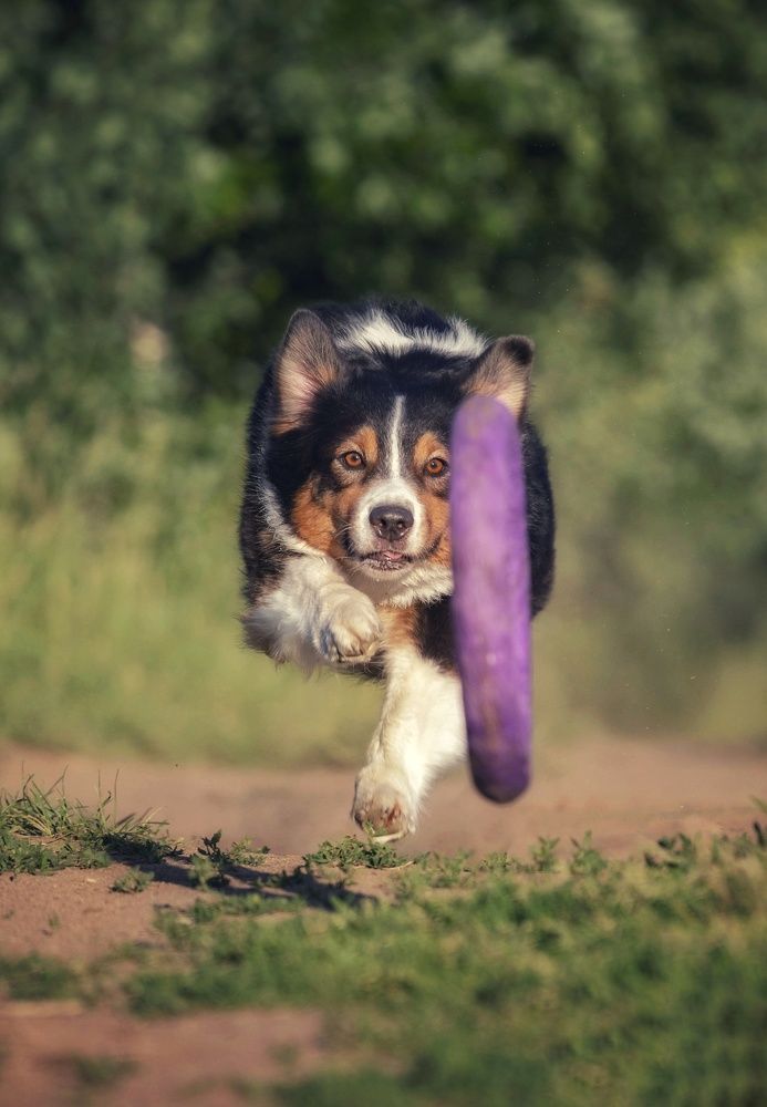 Photograph by Татьяна