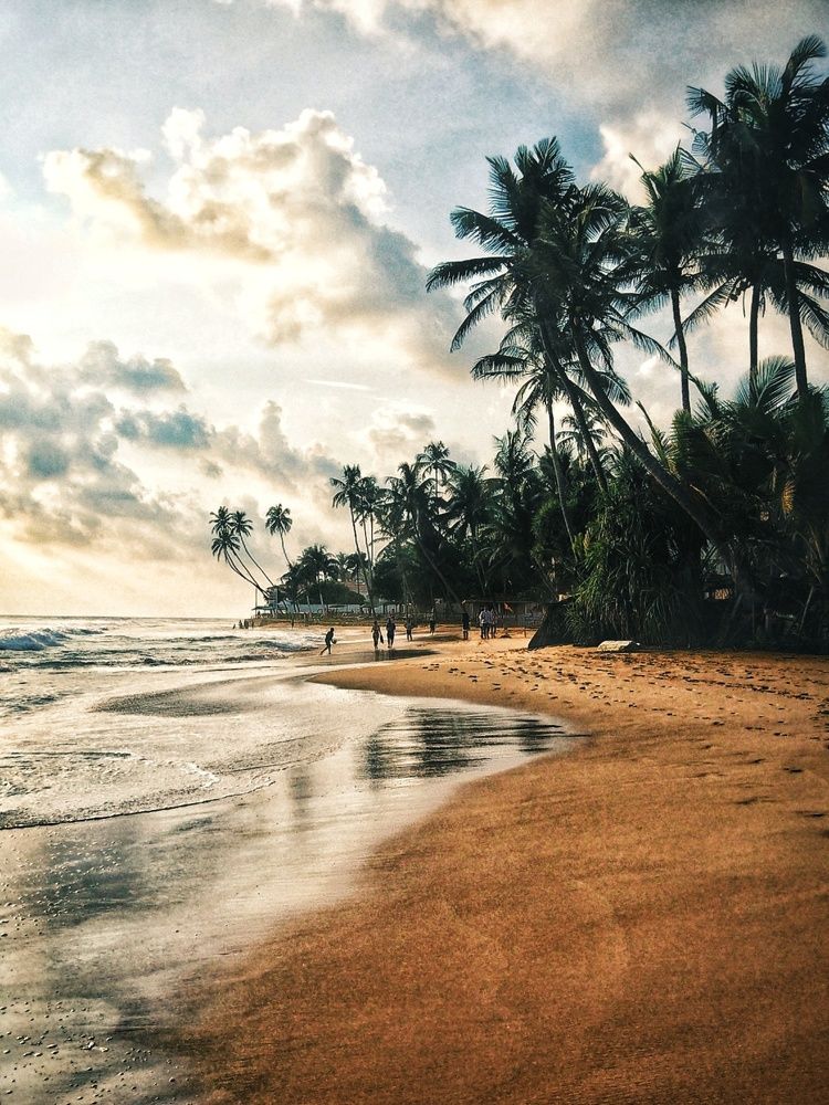 Фотография автора Julie Mishka