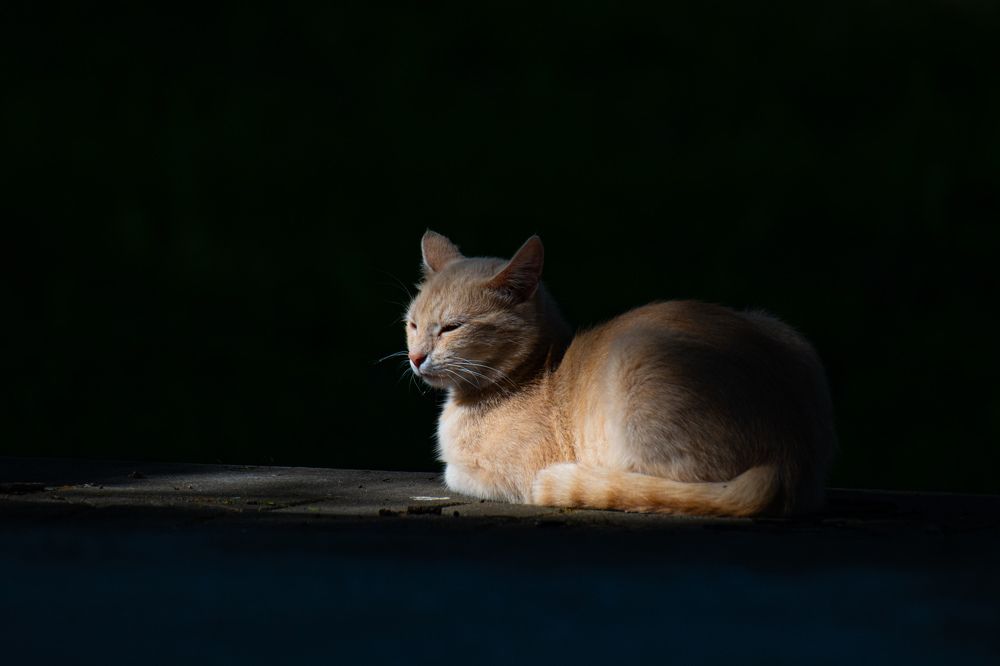 Размышляя о вечном