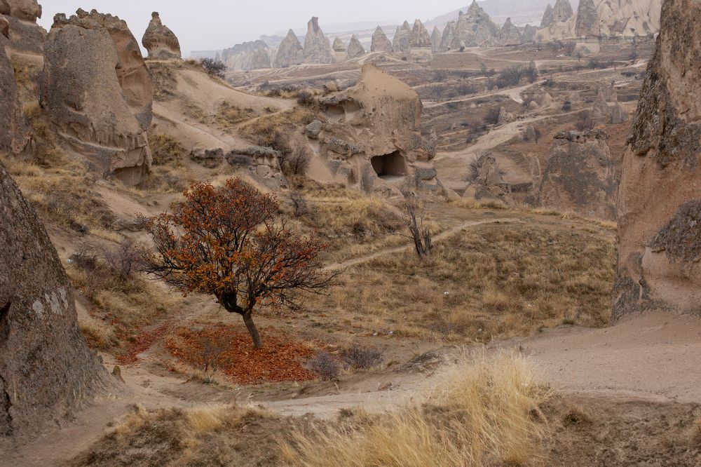 Photograph by Ольга Петрова
