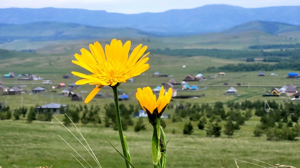 Photograph by Кайгородцев Артем