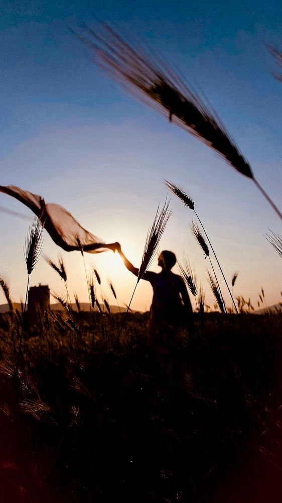 Photograph by Svetlana