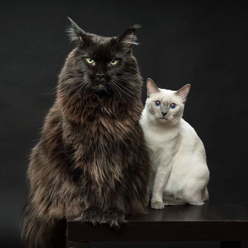 Photograph by Влад Шутов