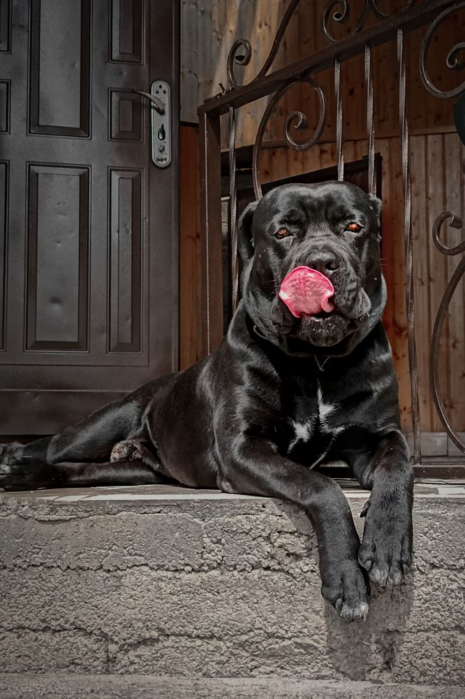 Photograph by Альфия Агзами