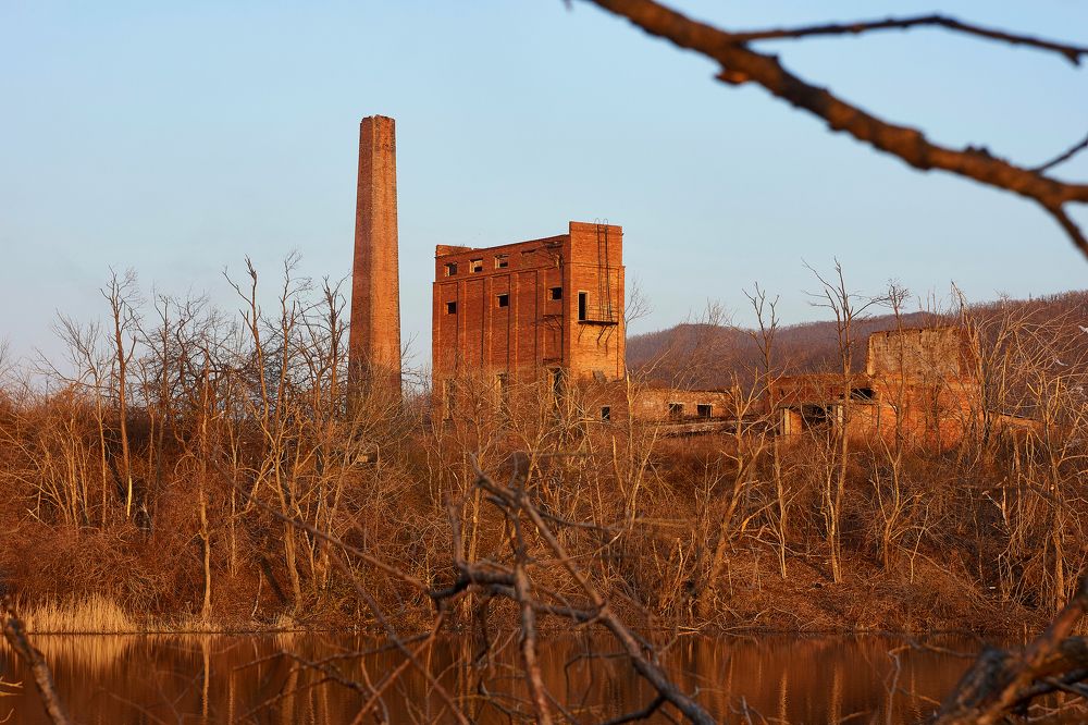 Photograph by Лариса Неман