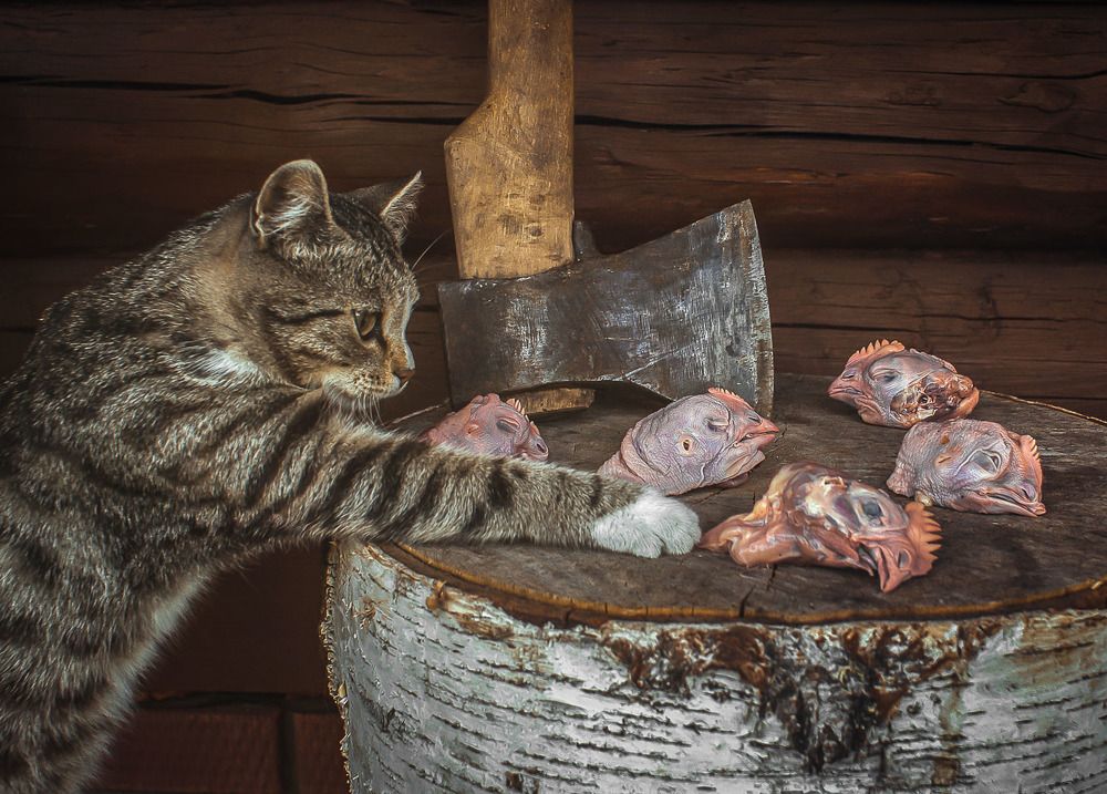 Плюрализм мнений/Pluralism of opinions
