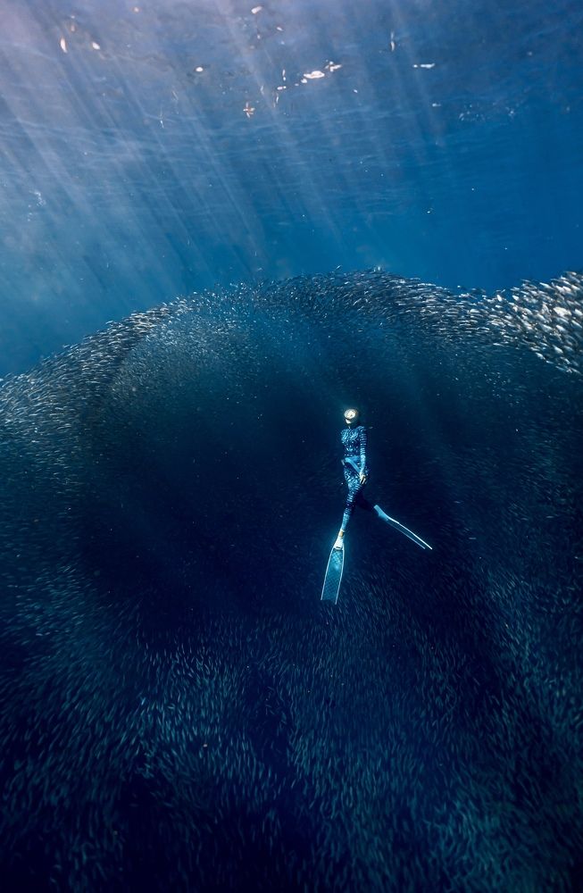 Фотография автора Дарья