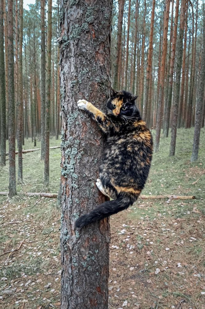 Photograph by Альфия Агзами