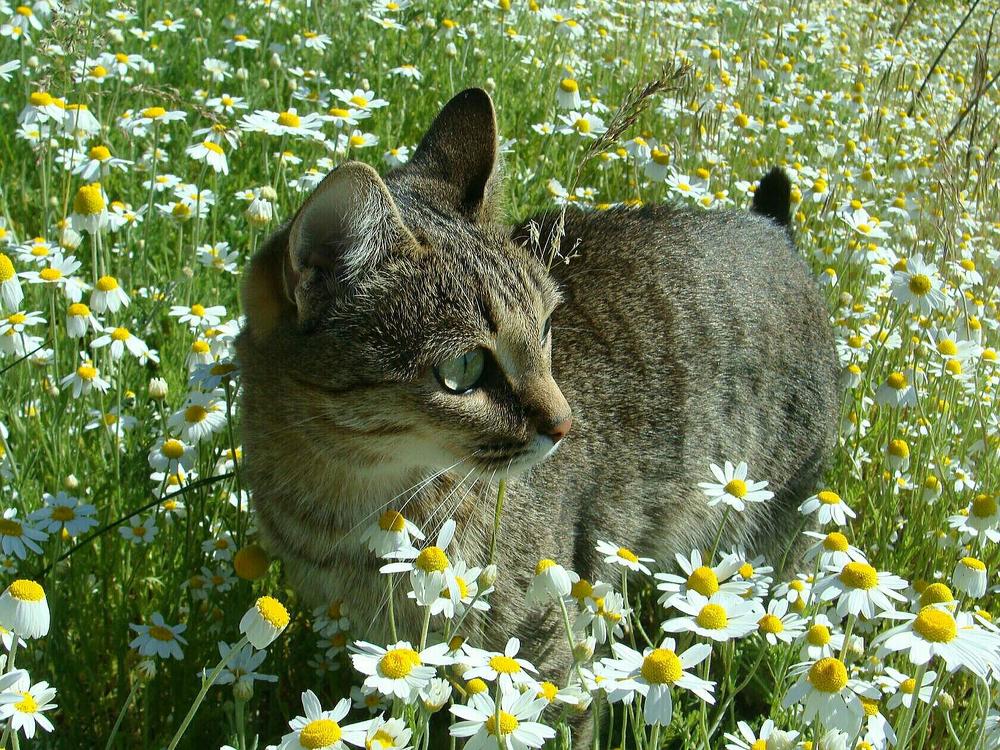 Фотография автора Павел Попов