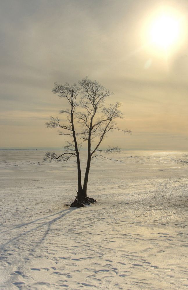 Photograph by Сергей Григорьев