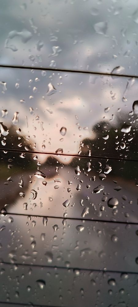 Photograph by Лидия Кротько