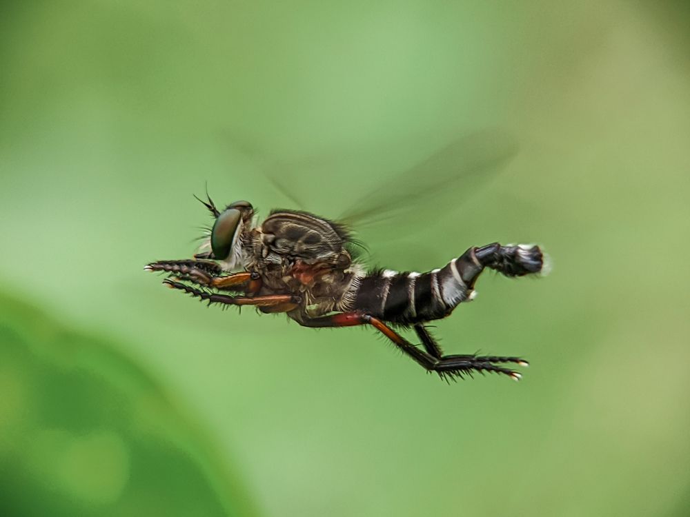 Photograph by Maryanto