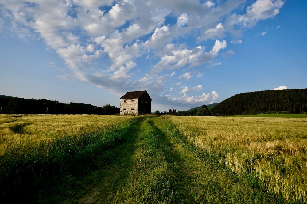 Old house in the field