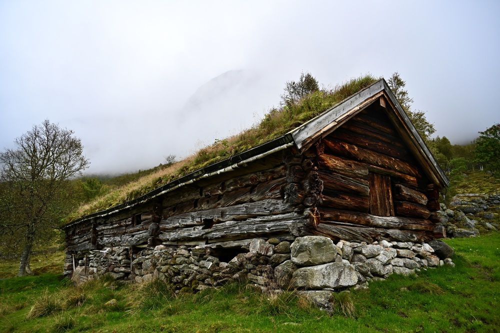 Overgrown with grass
