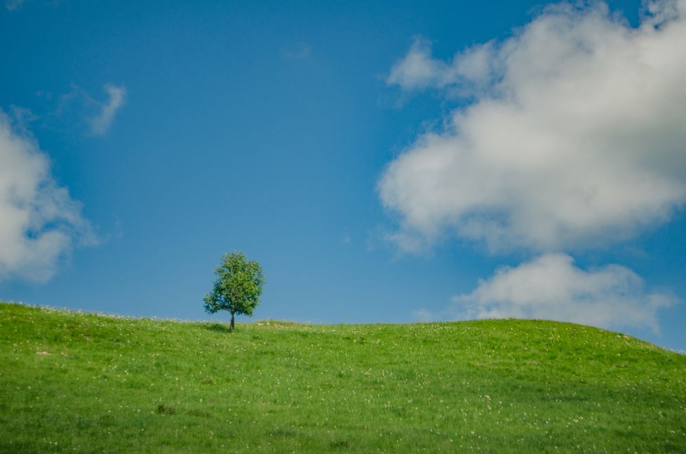 Photograph by Анна