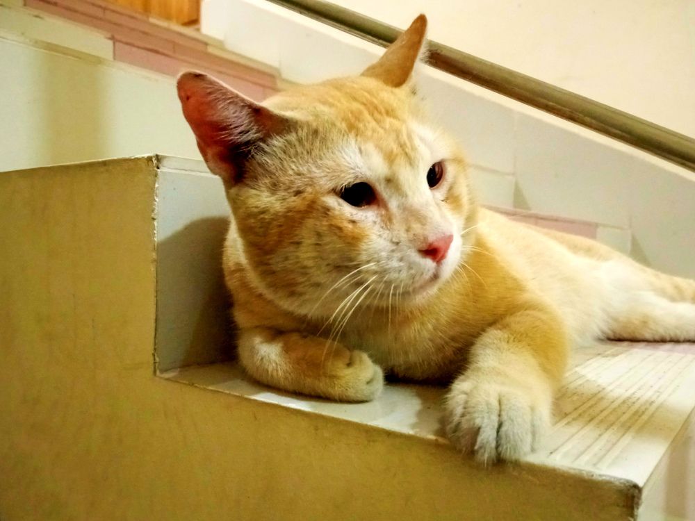 Photograph by Hasan Mehedi Amin