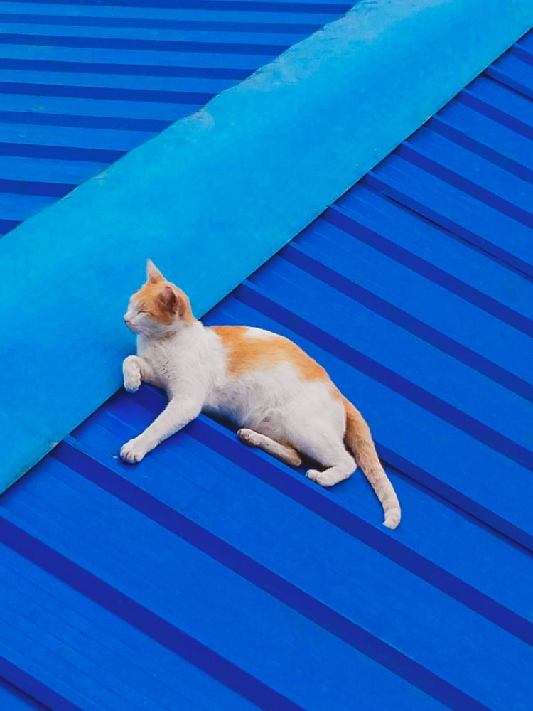 Photograph by Hasan Mehedi Amin