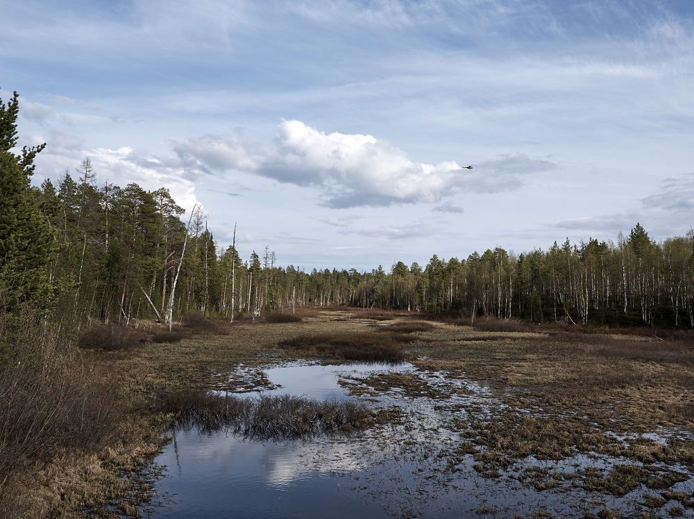 Photograph by Alexandr Klyuev