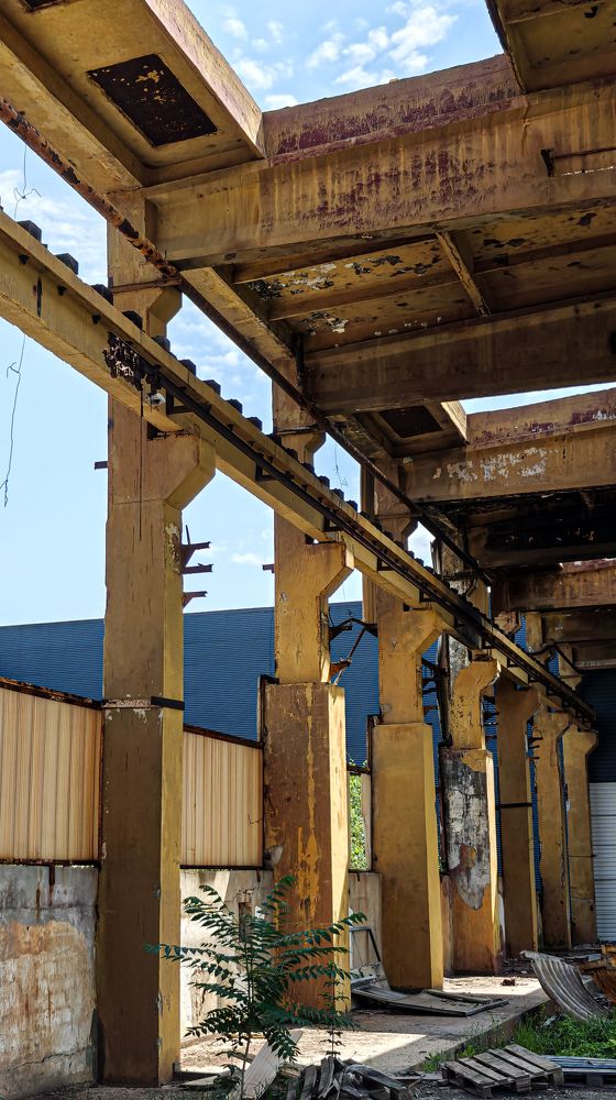 Photograph by Grădinaru Catalin