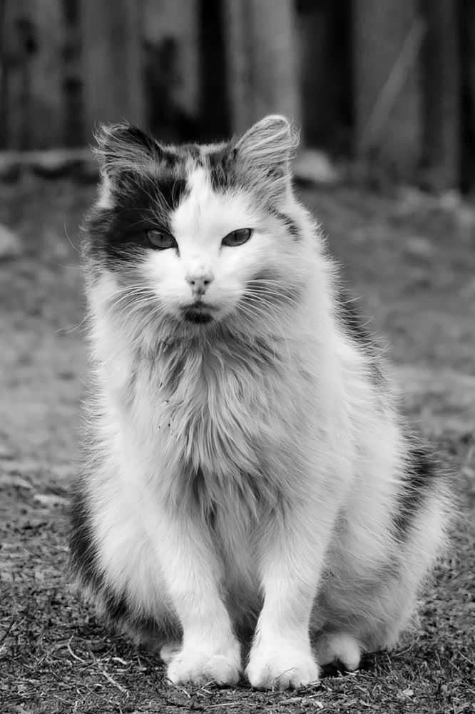 Photograph by Sergey Tyasto