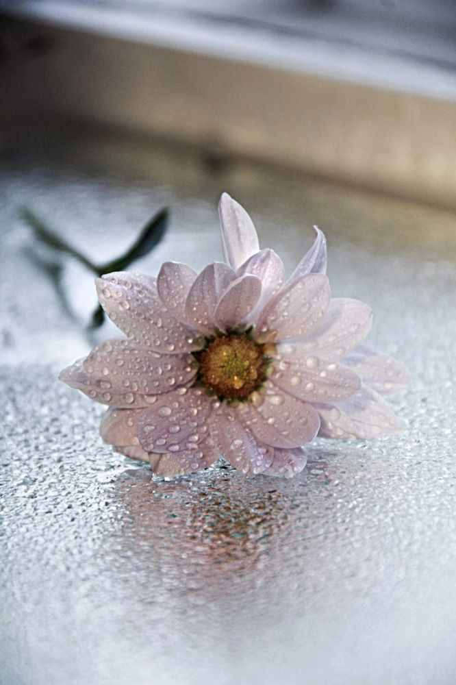 Photograph by Анна Фёдорова