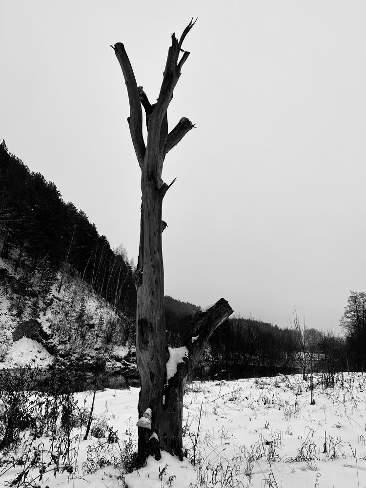 Photograph by Мария Халуторных