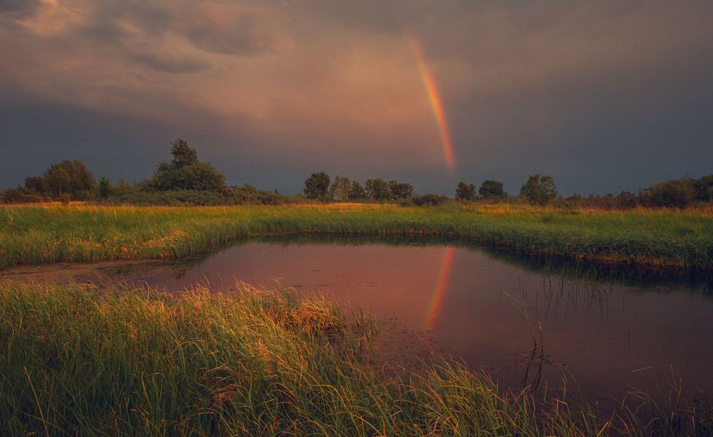Photograph by Николай Привалов