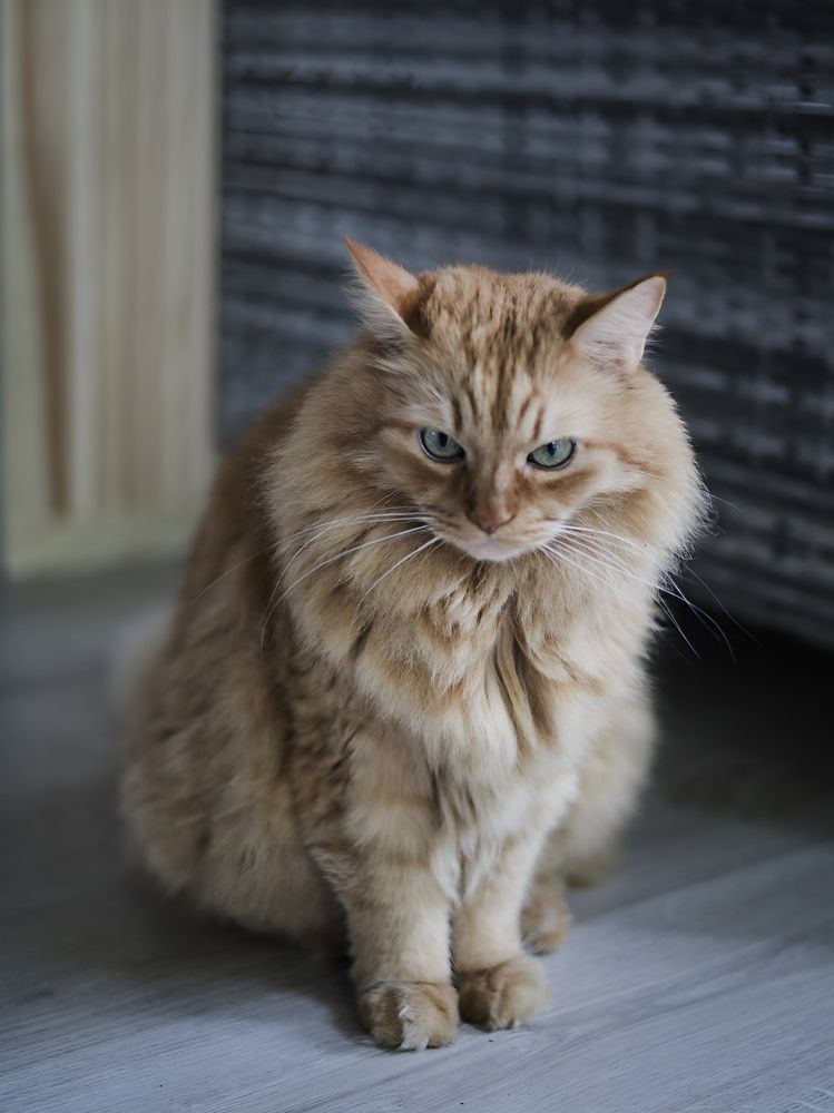 Photograph by Александра Кропивка