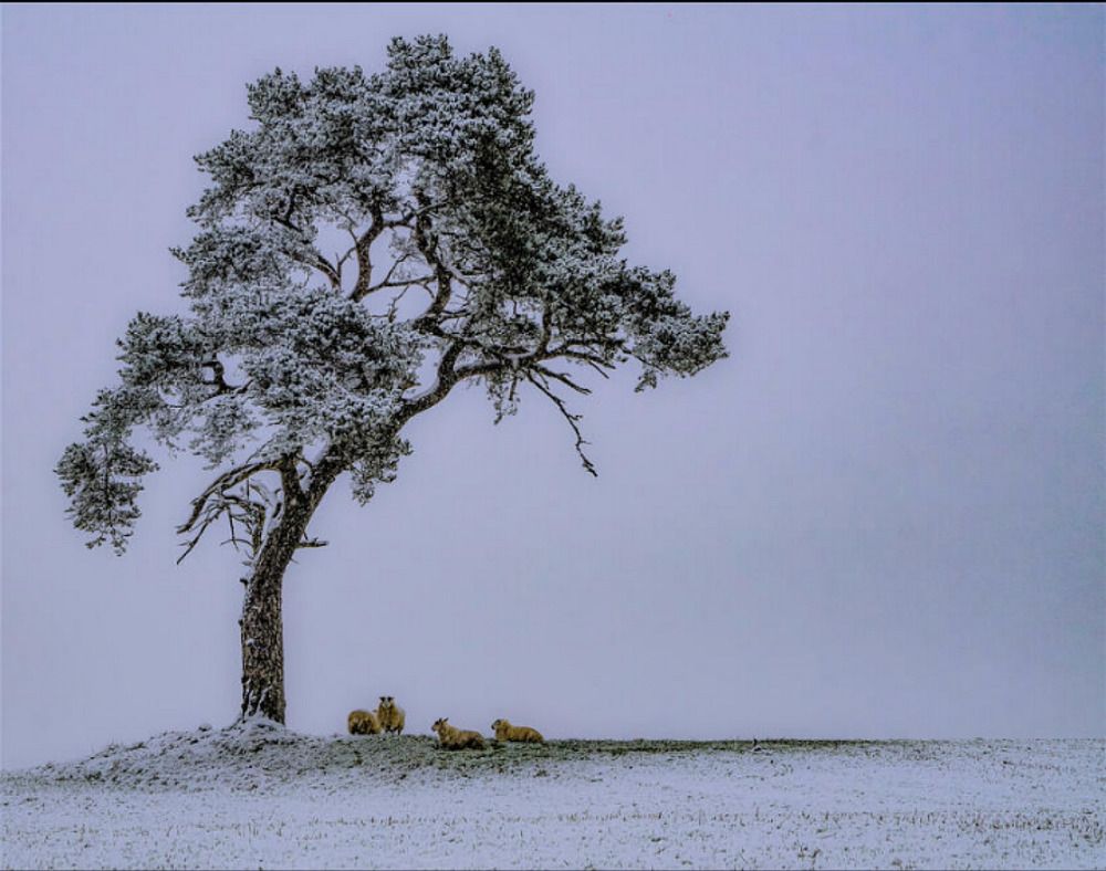 Photograph by m farzolahi