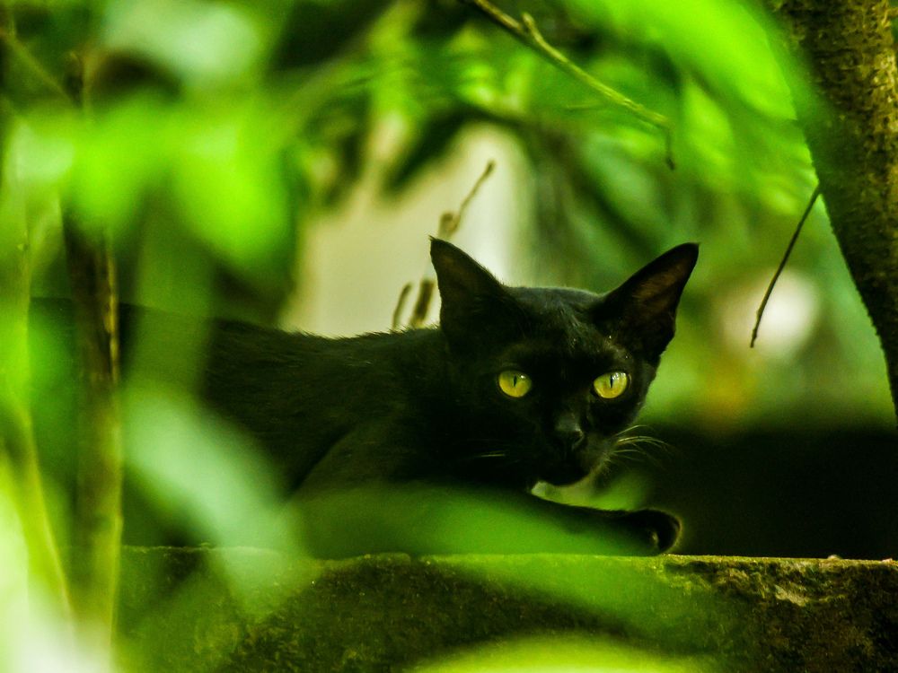 Photograph by Asna Azeez