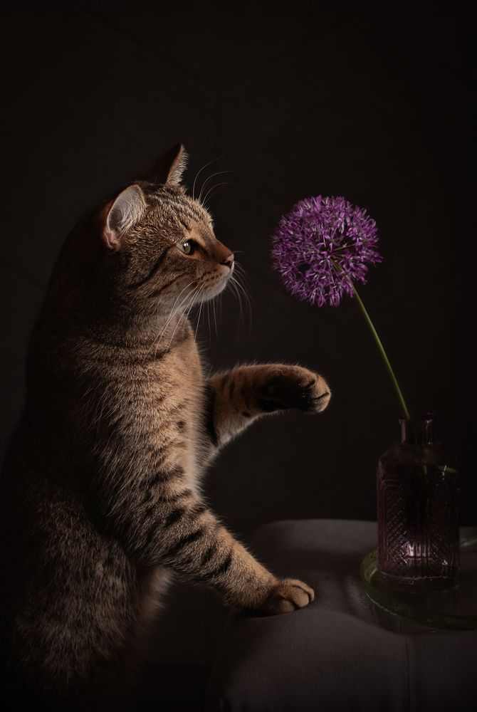 Photograph by Елена Мелихова