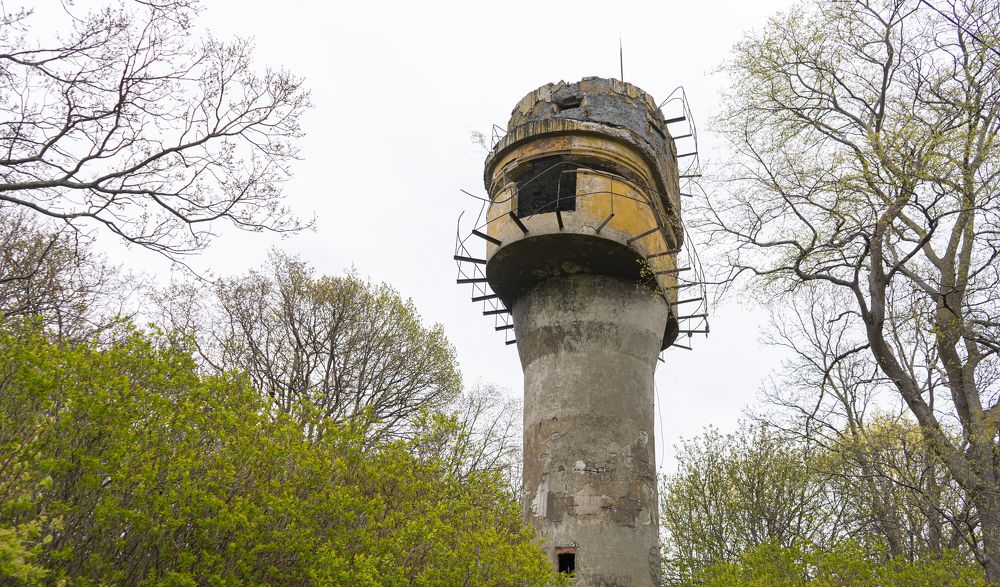 Photograph by Мария Паина