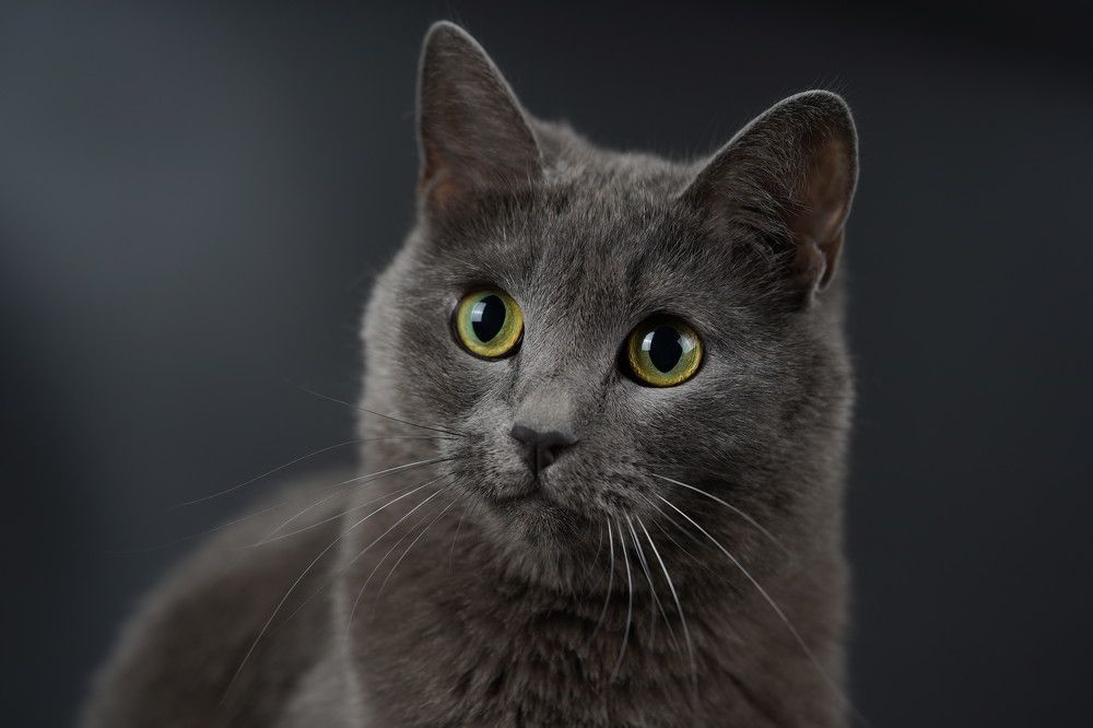 Photograph by Артем Севастьянов